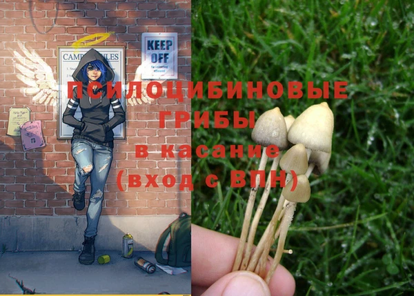 ешки Покровск